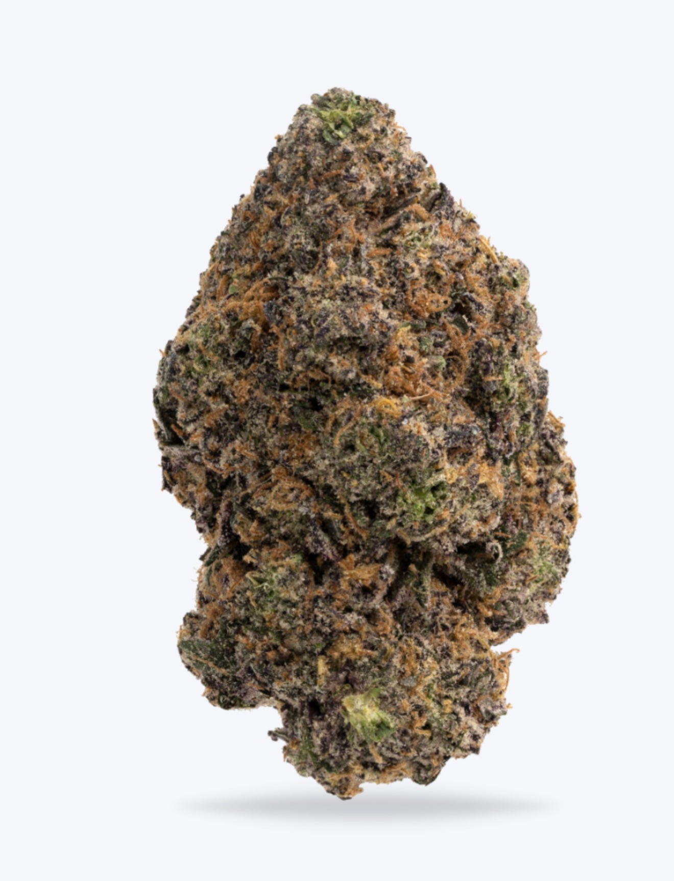 THCA GUSHERS- INDICA THCA FLOWER- 32.39%