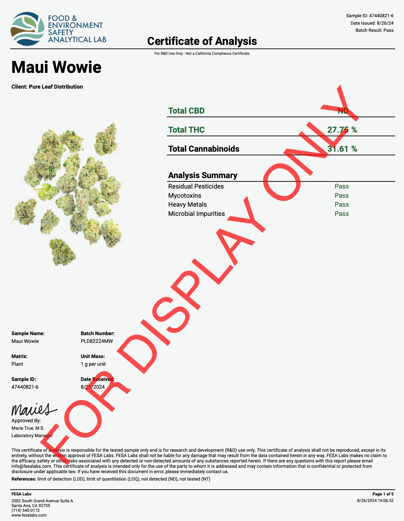 THCA MAUI WOWIE- THCA FLOWER - SATIVA - 29.14%