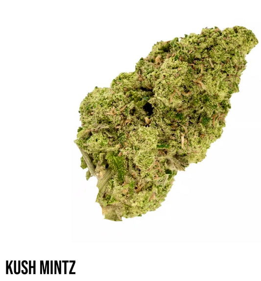 KUSH MINTZ HYBRID 28.36% THCA