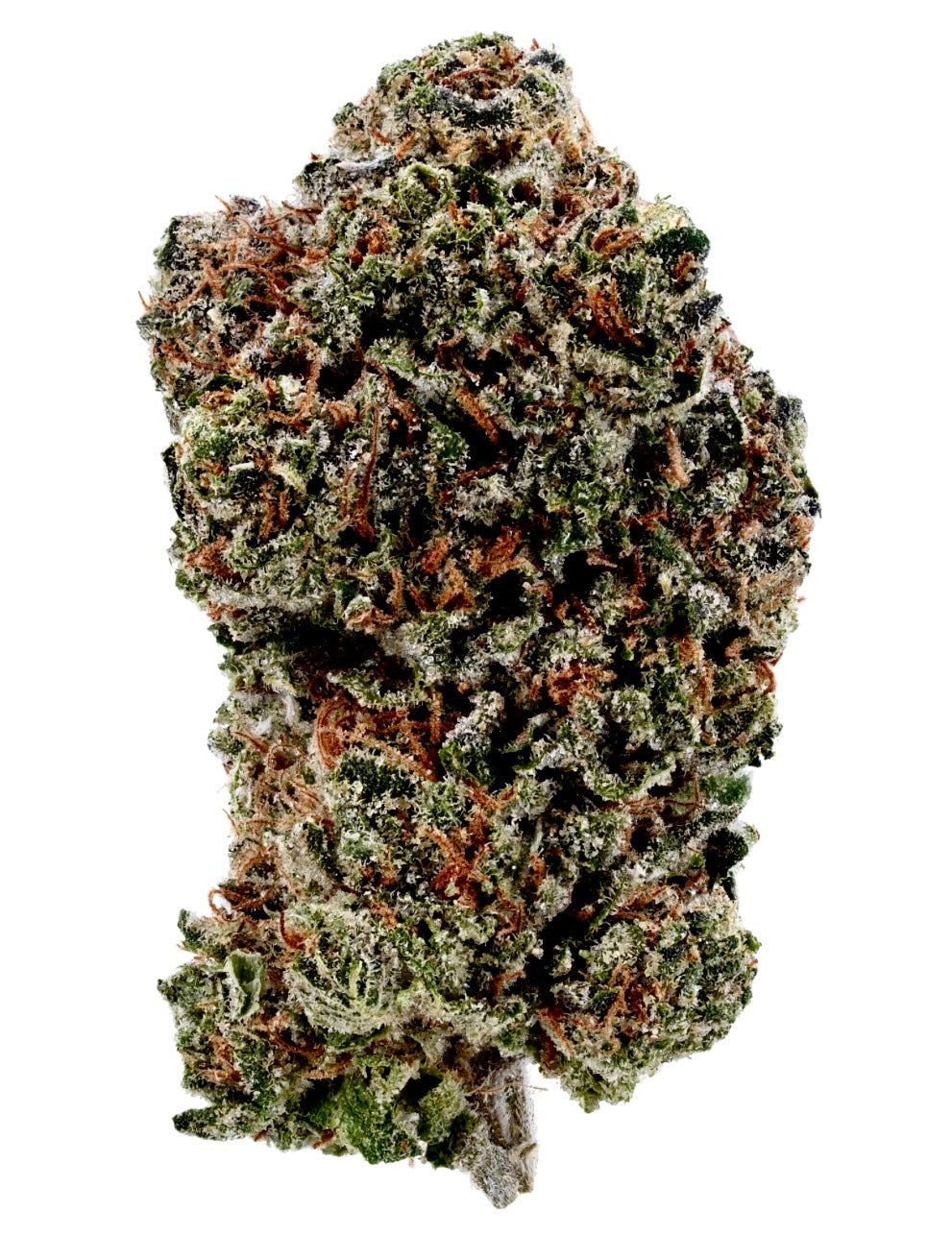 AFTER DARK THCA FLOWER