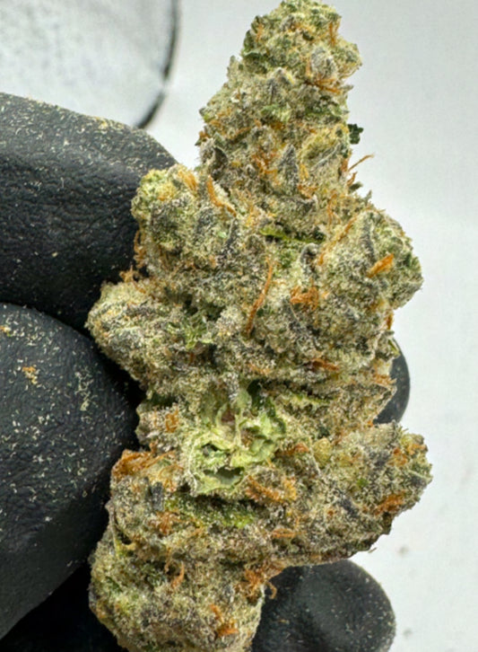 APRICOT SCONES THCA FLOWER - SATIVA 24.21%