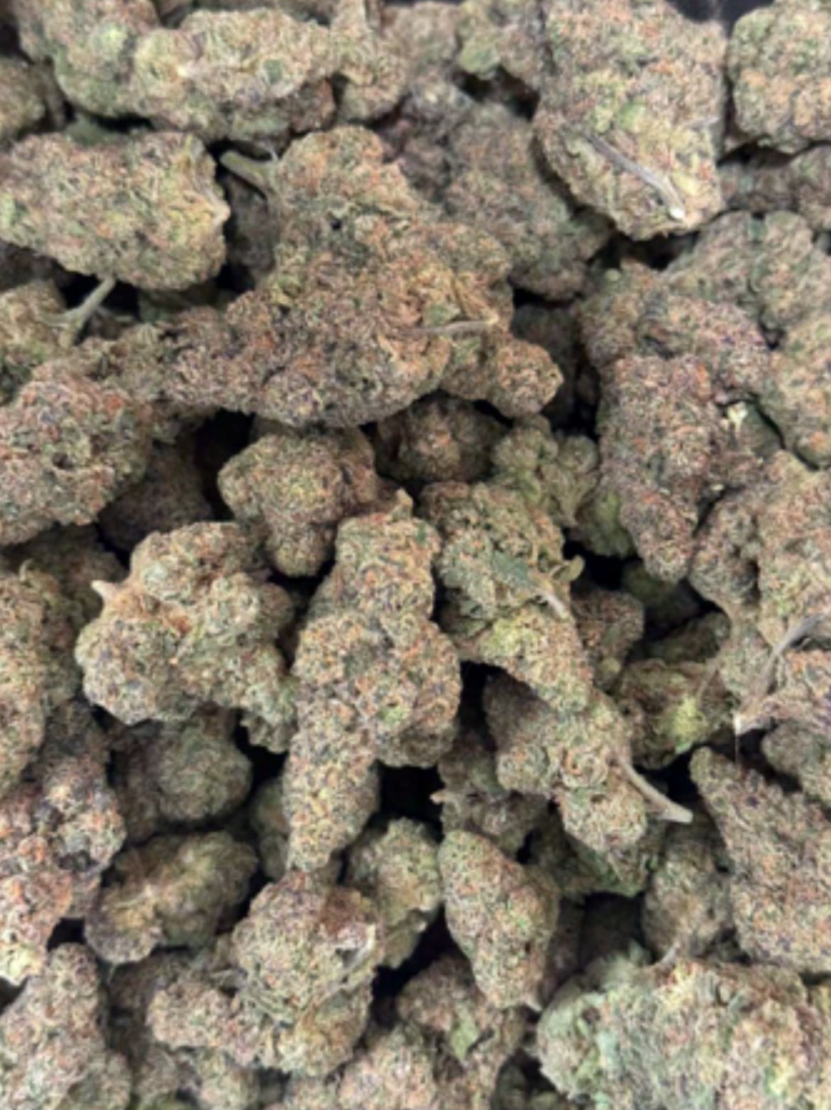 PINK GUMBO THCA FLOWER - INDICA 29.93%